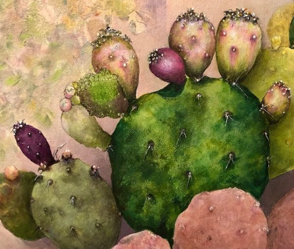 Lynn CACTI (close up)