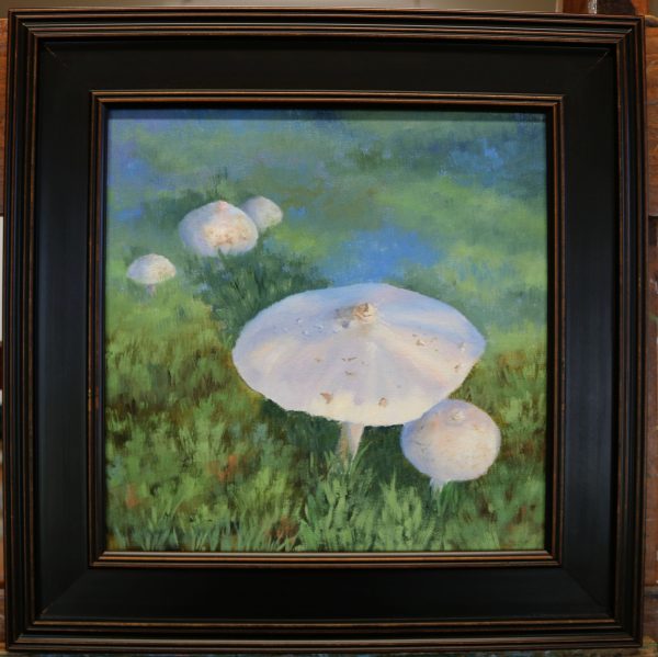 whitaker toadstools