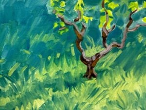 Grape Vine(2025)