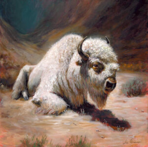 Small Contemplative White Buffalo by Jen Bowen 12x12 oil on linen copy