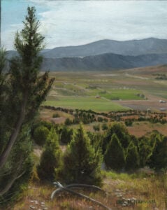 Valley Landscape med