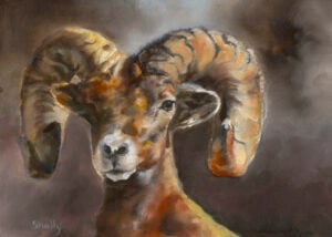 Big Horn 7x5 Shelly Hackett   20260210   AdobeRGB Production